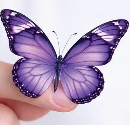 Giornata Internazionale per l'epilessia