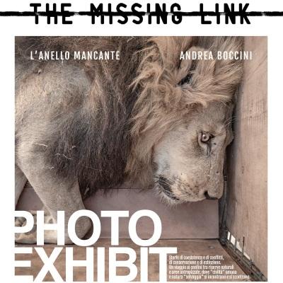 The missing link - l’anello mancante: esposizione fotografica a Palazzo Cesi