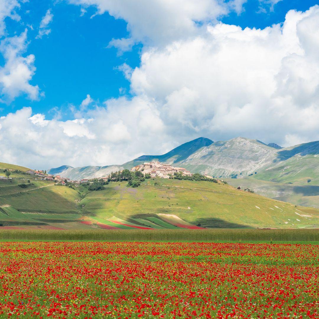 Un abbraccio ai Sibillini: Sport, Benessere, Ambiente e Cultura per la rinascita della Terra ferita