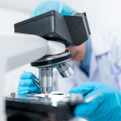 Il microbiota intestinale nelle patologie gastrointestinali dell'adulto e del bambino