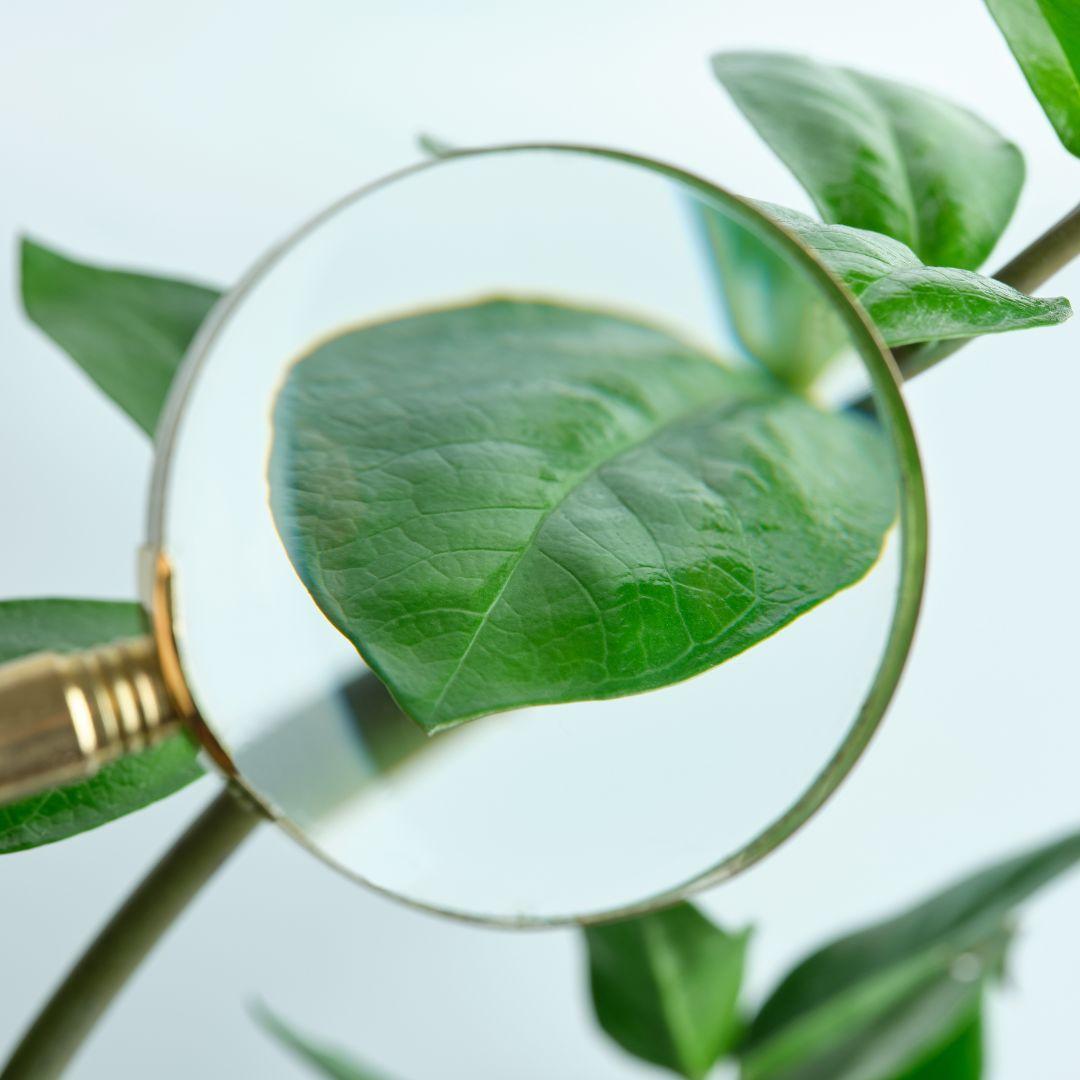 Conservare la biodiversità, coltivare conoscenza