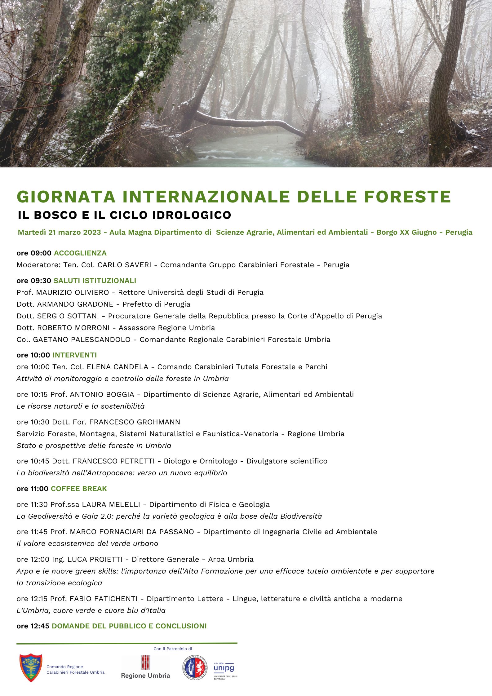 giornata internazionale delle foreste