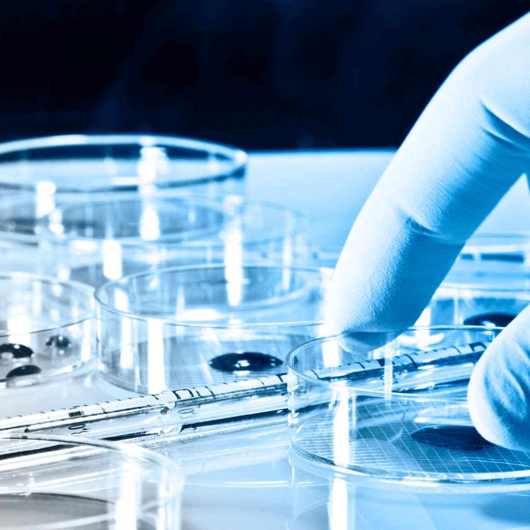 Lotta all’antibiotico resistenza: al via il progetto europeo BactEradiX