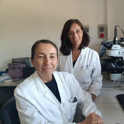 Prima preceptorship EHA dedicata alla leucemia mieloide acuta