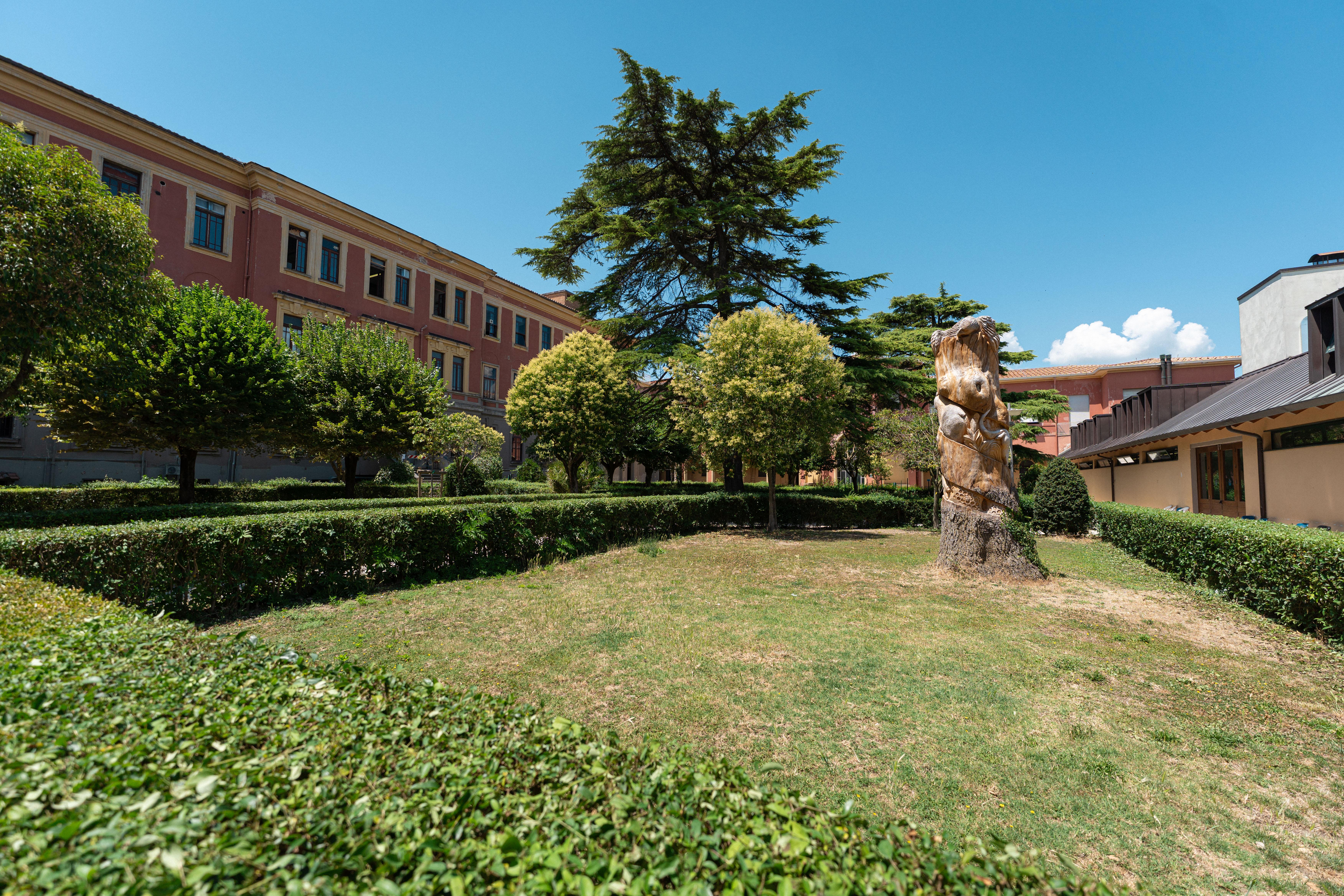 15 - Il giardino del Dipartimento di Medicina Veterinaria