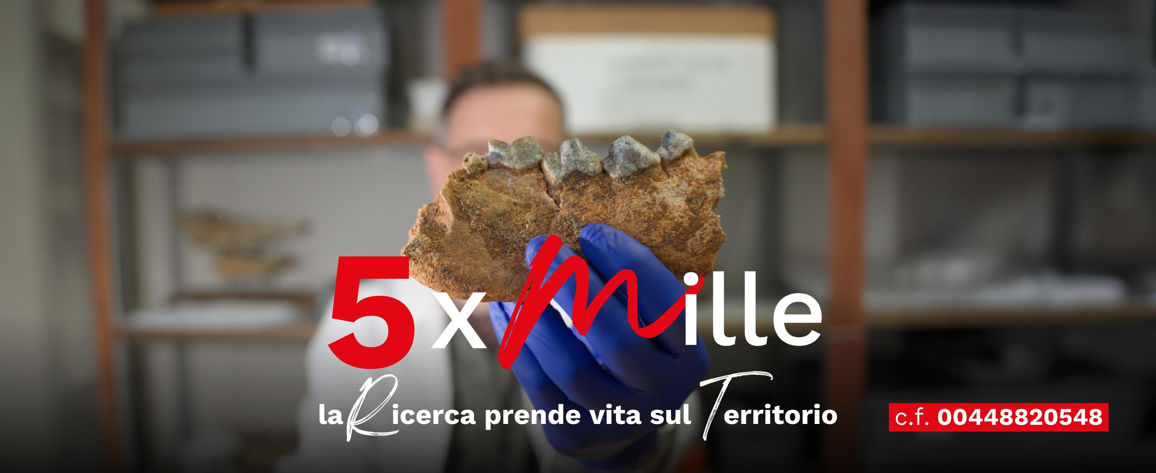 5 x mille_2